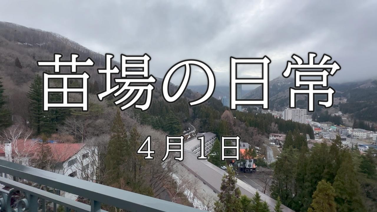 （537）苗場ひとり暮らし　４月１日