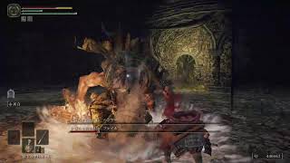 【ELDEN RING/エルデンリング】#34 ランドマーク巡り【実況】