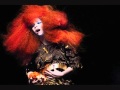 Björk - Virus (Audio)