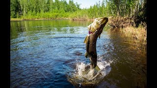 Ловля красноперки на вертушки в беларуси