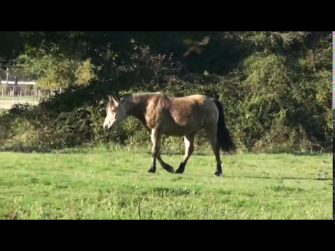 St Pourçain sur Sioule