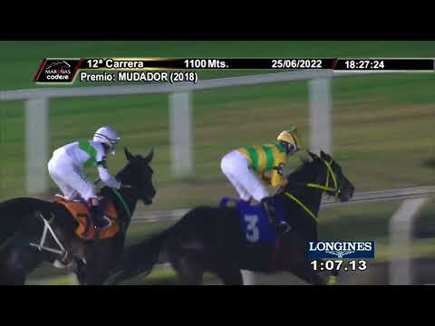 220625 c12 JORGELINA