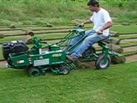 Tagliazolle Ryan mod. Heavy Duty