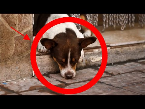 rossz lehelet ezüstözés után