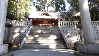 preview picture of video '五所神社（湯河原町）・象気功'