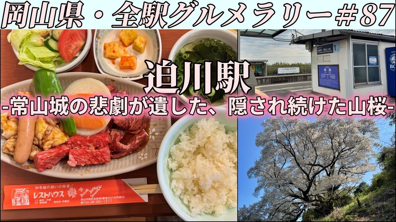 【迫川駅】国道30号沿いにある名物昭和レストの焼肉コーナーまでお昼ご飯を食べにいくツーリング【岡山県・全駅グルメラリー#87】