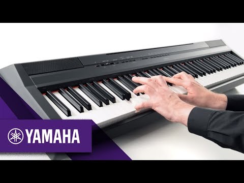 P-115 Digital Piano Overview