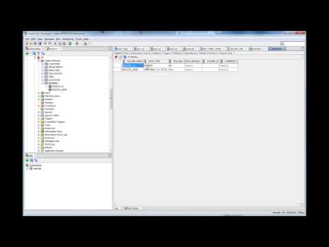Database Tutorial 87 - What is an Oracle Type - Oracle DBA Tutorial