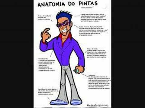 PILLAO - IFX- PRESAS DE LO EXPRESADO