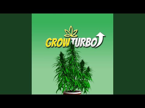 Cannabis Plant THC Frequencies