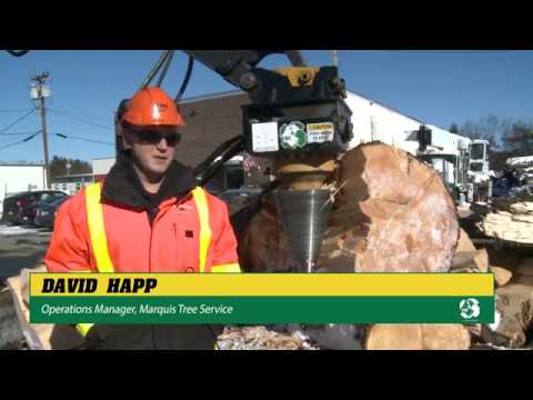 XP Log and Stump Screw