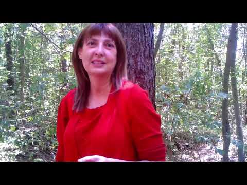 Parco tematico della grande guerra di Monfalcome!