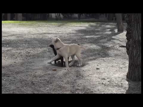 Manoteras, mi barrio