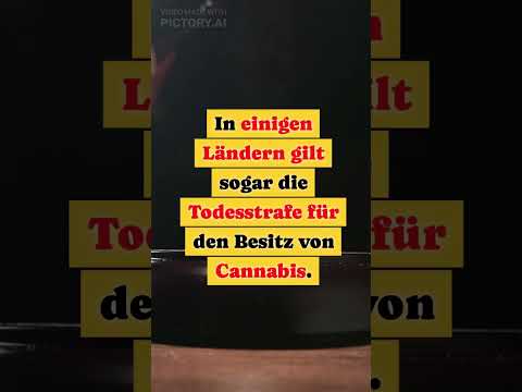 Cannabis führt zum Tod?
