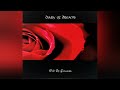 Diary Of Dreams - A Fool to Blame sub español &lyrics