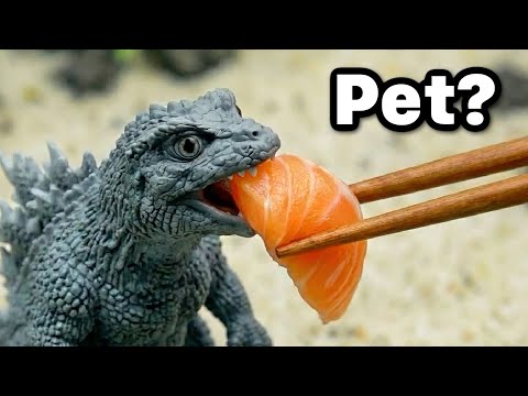 I Got a Pet Godzilla