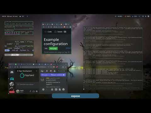 demo video