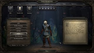 Pillars of Eternity Video Commentary