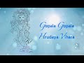 Gopala Gopala Hrudaya Vihara Krishna Bhajans Sai Bhajans