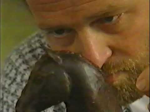 Weg van de Snelweg - Noord Kennemerland 1990