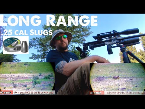 FX Impact High Power Pest Control .25 cal  Hunting pt2