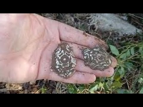 Define kasasının İçinden Gümüş Rozetler Çıktı !!!