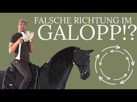 Unbekannter Sitzfehler im Galopp | Galoppierst Du in die selbe Richtung wie dein Pferd?