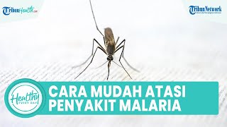 Cara Mudah Mengatasi Penyakit Malaria, Simak Ulasan Dokter Robert Sinto