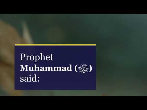 The parable of the believer and disbeliever || Tijemusliman ||