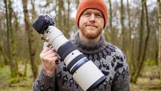 Morning Walk with the OM-1 Mark II & M.Zuiko 150-400mm