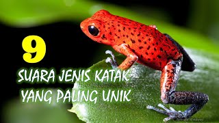Download lagu 9 Suara Jenis Katak yang Paling Unik mp3 Download lagu 9 Suara Jenis Katak yang Paling Unik mp3