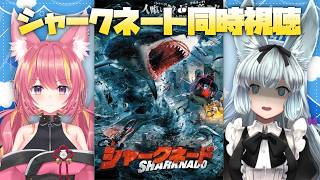 【#雑談】シャークネード 同時視聴 with阿沙野暁