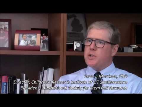 Sean J  Morrison, ISSCR President