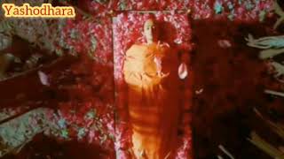 Yashodara movie Last Song/Yashodhara ki byatha#yas