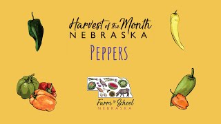 Harvest of the Month: Peppers