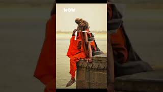 Download lagu #ytshorts #youtubeshorts #dekh tamasha Lakdi ka| jite bi lakdi marte bi lakdi mp3