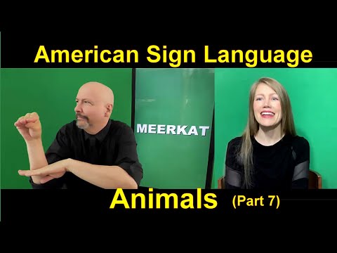 Lesson 12 Story B Cäsar Jacobson Dr Bill ASLU Lifeprint com American Sign Language ASL