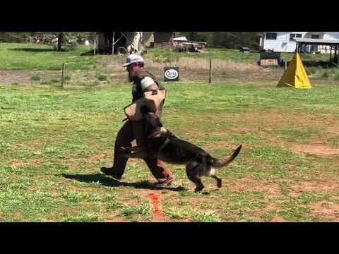 Raikkonen von der Tetiaroa IGP2 Protection 93 points