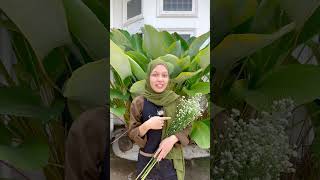 Download lagu Foto estetik! #fotoestetik #pinterest #pinterestaesthetic #bucketbunga #palembang #florist #bouquet mp3