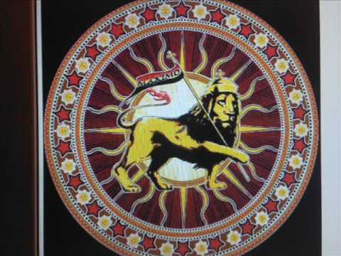 jah shaka - togo the lion
