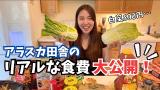 【アラスカ生活】アラスカの食費公開！やっと白菜に会えたけど800円に驚き