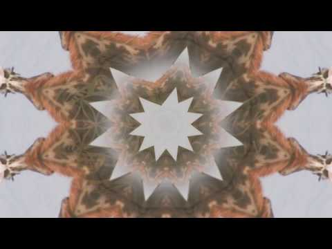 TÉCNICA DE REPROGRAMAÇÃO INCONSCIENTE - Para Ouvir Enquanto Dorme || Elainne Ourives