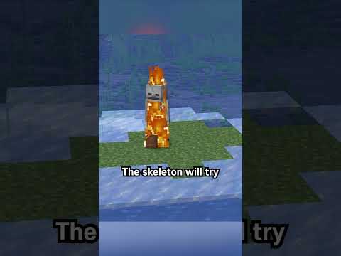Torture Skeleton in Minecraft