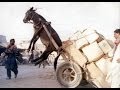 Funny road accidents,Funny Videos, Funny People, Funny Clips, Epic Funny Videos Part 21 Funny road accidents,Funny Videos, Funny People, Funny Clips, Epic Funny Videos Part 21