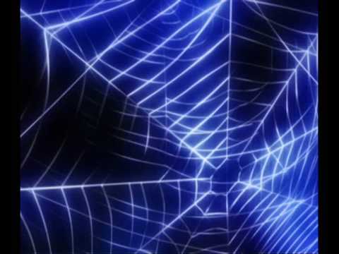 Petra Slapar Mystery