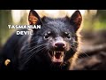 10 Fascinating Facts About The Tasmanian Devil