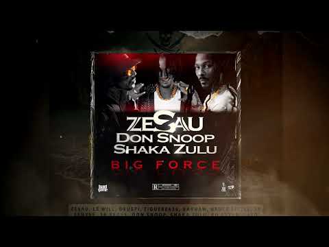 Zesau ft Don Snoop & Shaka Zulu - Big Force