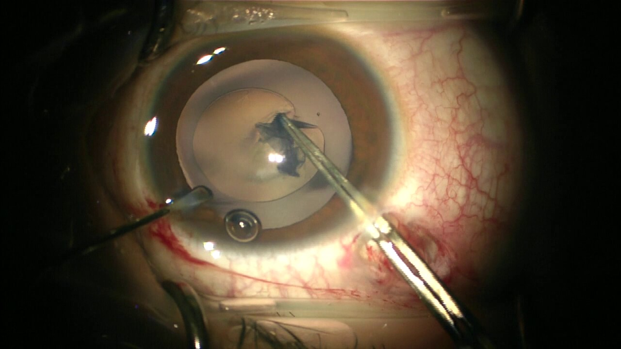 Guillermo Enriquez Tostado-15