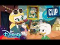 Louie Crashes Doofus's Party 🎉 | DuckTales | Disney Channel