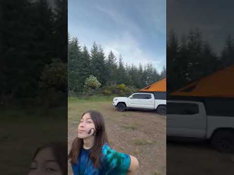 Video Panorama